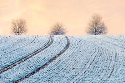 Snow covered landscape against sky