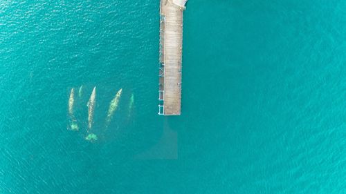 Aerial view of pier over sea