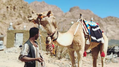 Man standing with camel in desert