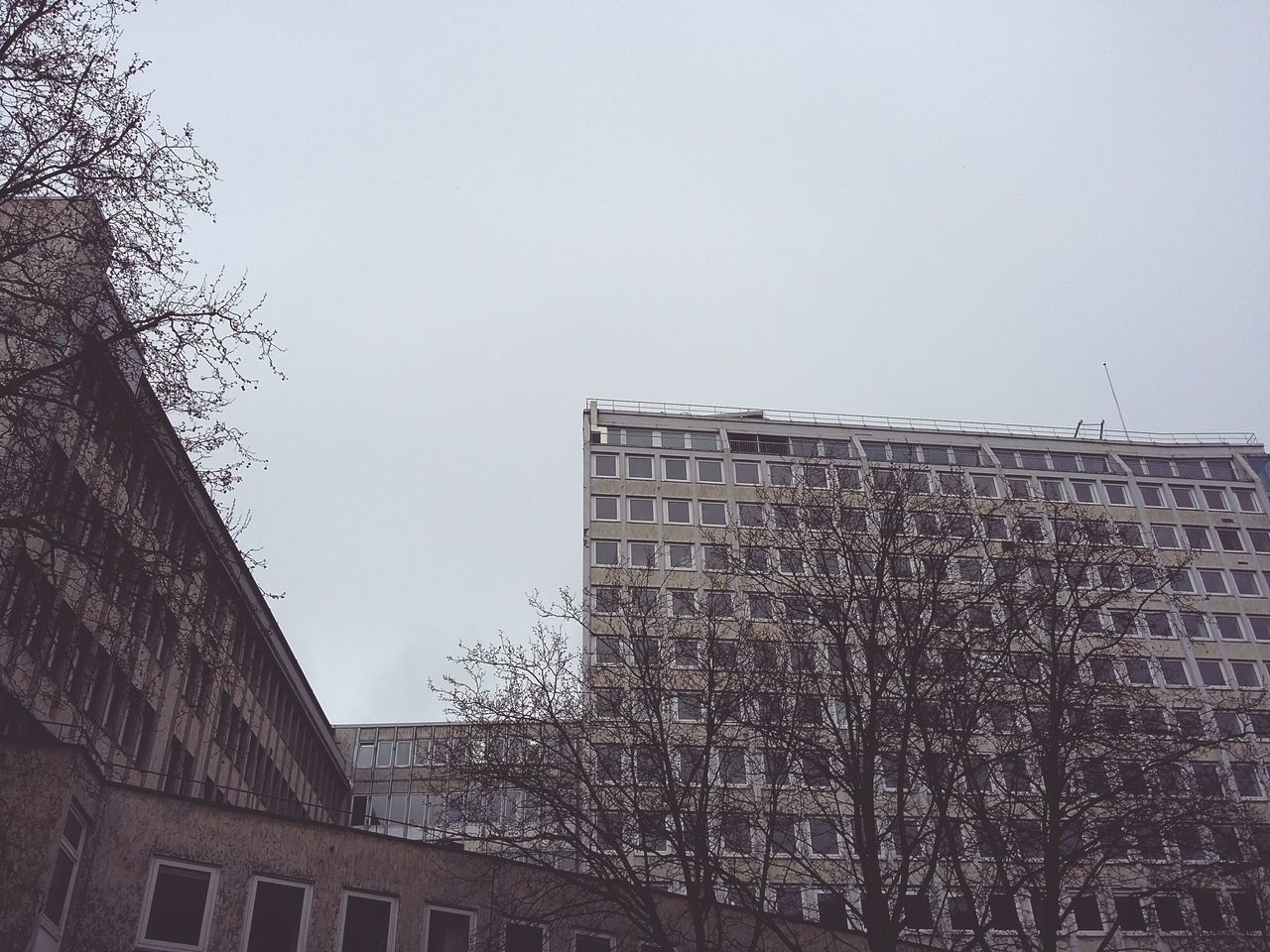 Winter Tristesse. · Hamburg germany 040 From the archives Architecture buildings corners Naked Trees tree crowns Gray Sky melancholy