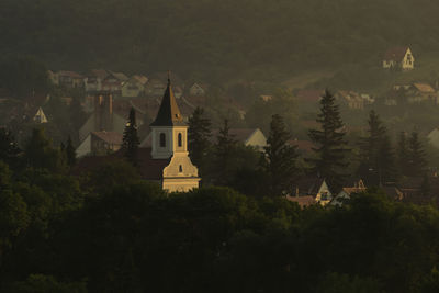 Traditional building by trees and houses against sky