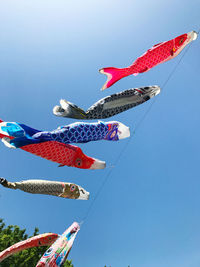 Low angle view of fish hanging against clear sky