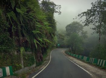Road amidst trees during rainy season