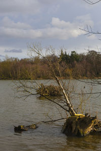 Scenic view of river against sky