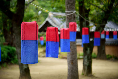 Colorful clothes hanging in row