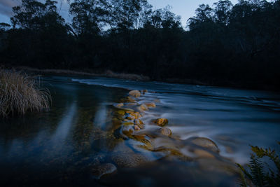 Scenic view of lake in forest