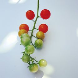 Close-up of grapes against white background