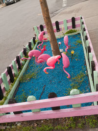 High angle view of people on multi colored sand