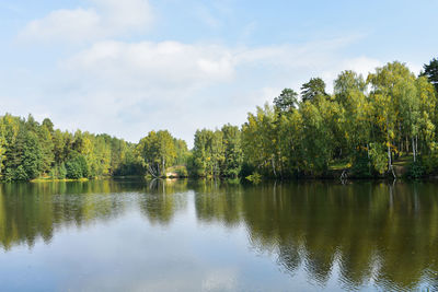 Scenic view of lake by trees against sky