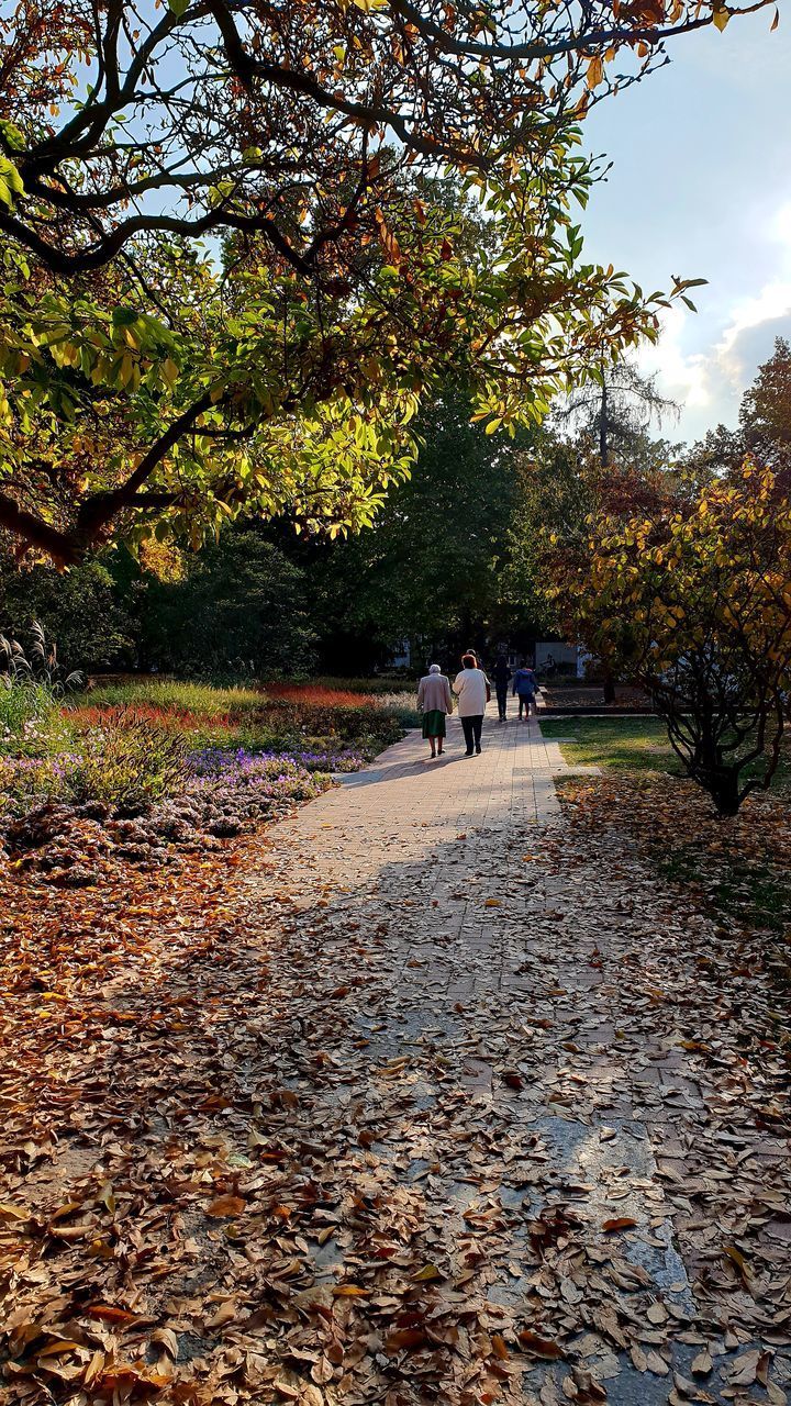 PEOPLE WALKING ON FOOTPATH IN AUTUMN