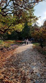 People walking on footpath during autumn