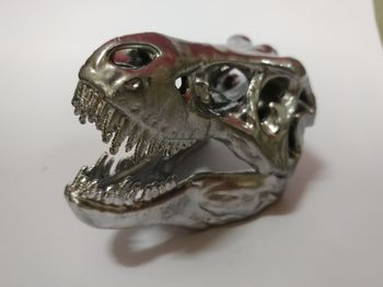 High angle view of a turtle on table