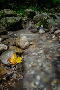 Close-up of stream flowing through rocks