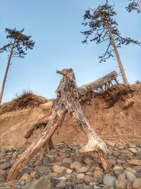 Low angle view of driftwood at beach against clear blue sky