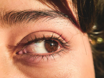 Close-up of woman eye