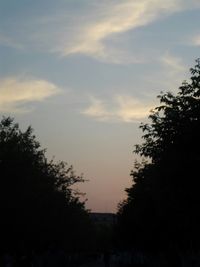 Low angle view of silhouette trees against sky