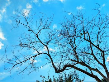 Low angle view of silhouette bare tree against blue sky