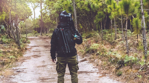 Rear view of backpacker standing on road in forest
