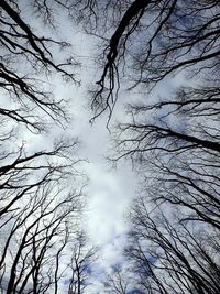 Low angle view of bare trees against sky