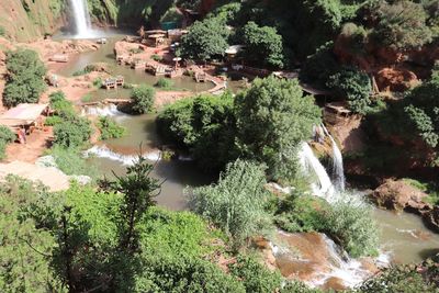 High angle view of river amidst trees in forest