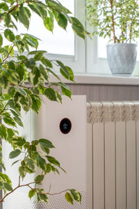 Central heating radiator and air purifier on window background and houseplants in room.