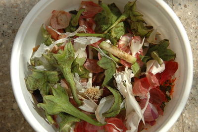 High angle view of chopped vegetables in bowl