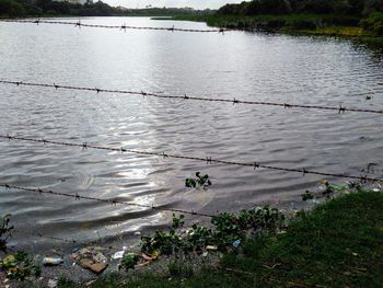 Scenic view of river