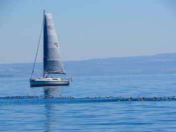 Sailboat sailing in sea