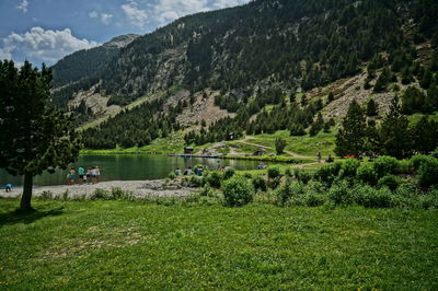 Scenic view of lake by trees against sky