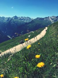 Scenic view of grassy field by mountains against sky