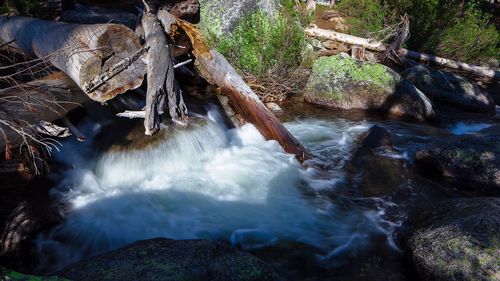 Stream flowing through rocks in forest