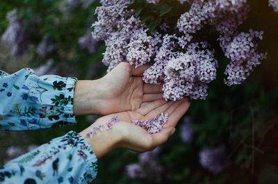 Cupped hands below purple flowers