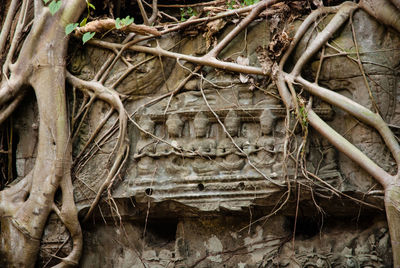 Close-up of building