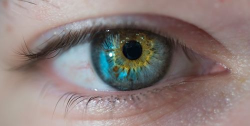 Close-up portrait of human eye