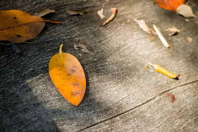 High angle view of orange leaves on wood