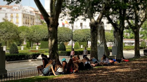 Man relaxing in park