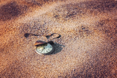 Still life - antique rotten pocket watch and sea shell buried partial in the sand