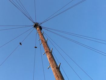 Low angle view of birds perching on electricity pylon against clear blue sky