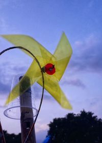 Close-up of insect on yellow flower against sky