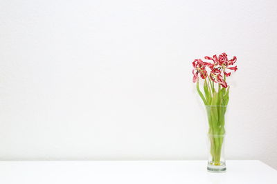 Close-up of vase against white background