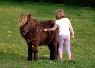 Full length of girl combing pony while standing on field