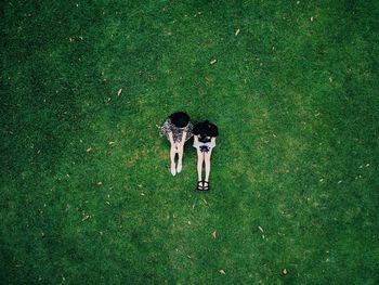 High angle view of dog on field