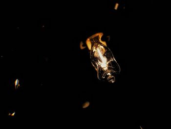 Close-up of illuminated candles on black background