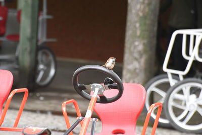 Close-up of sparrow perching on steering wheel of toy tricycle