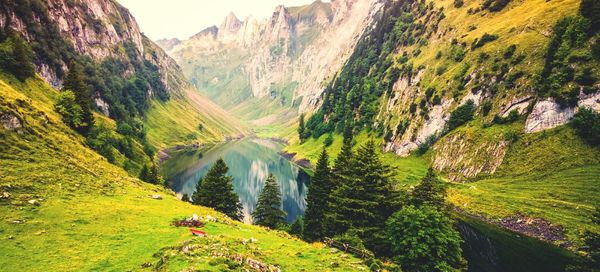 Scenic view of mountains