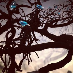 Low angle view of tree against sky