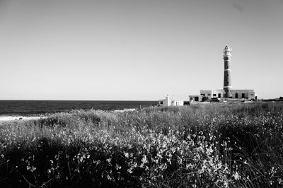 View of agricultural field against clear sky
