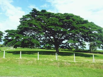 Scenic view of grassy field against cloudy sky