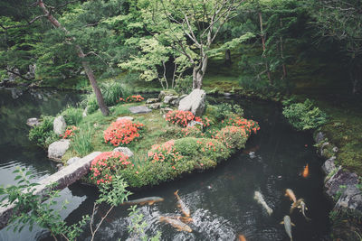 View of plants growing in lake