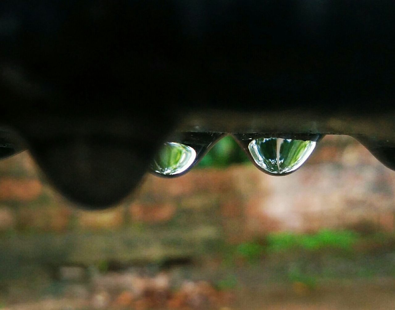 CLOSE-UP OF WATER ON LANDSCAPE